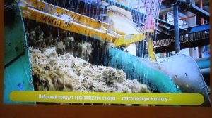 Как делают сахар.....Откуда он берется:)