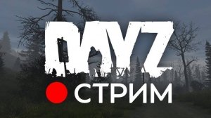 Dayz