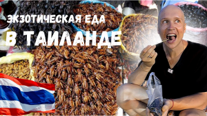 Едим жуков и гусениц