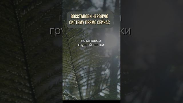 Восстанови нервную систему прямо ейчас. Глубокая релаксация. #нервнаясистема #релаксация #успокоение