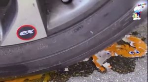 Разрушаем детские игрушки колесом машины челлендж