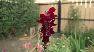 EOS M6 video test