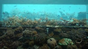 Отель Huvafen Fushi Maldives 5*