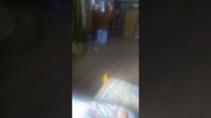 спящий Марик и кайфу снится Кира и милашка чика