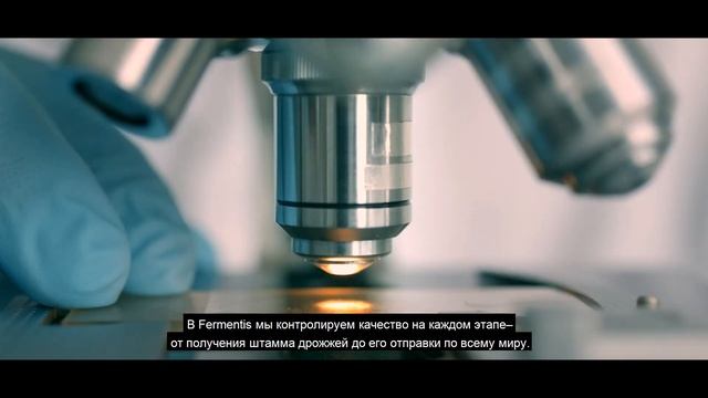 [RU] SafYeast – 10 причин использовать активные сухие дрожжи Fermentis смотреть онлайн