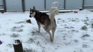 HONDA SABER UA4 2.5 РЕМОНТ ПЕЧКИ, РЕМОНТ СЕРВОПРИВОДА ЗАСЛОНОК ПЕЧКИ СВОИМИ РУКАМИ