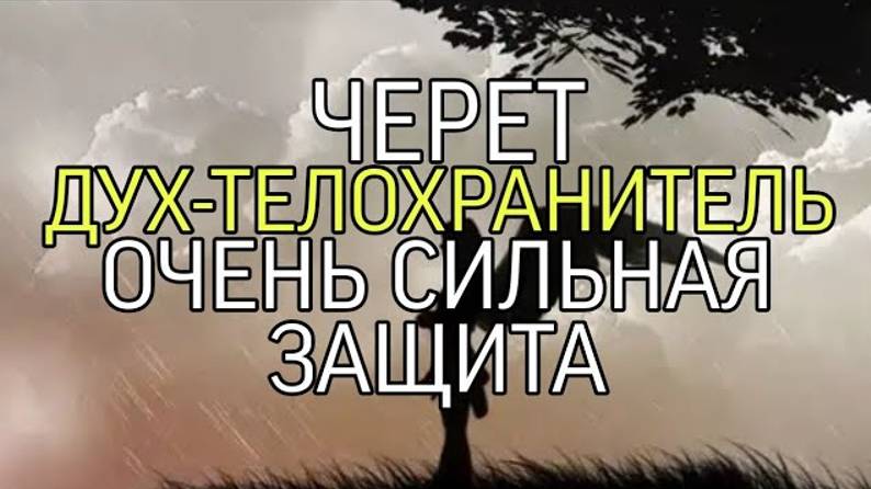 ЧЕРЕТ…ДУХ ТЕЛОХРАНИТЕЛЬ…ОЧЕНЬ СИЛЬНАЯ ЗАЩИТА…ДЛЯ ВСЕХ…