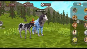 аккаунт в вайлд крафт (Ч.О)