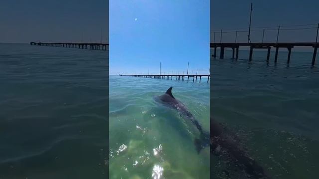 Анапа черное море Анапа черное море