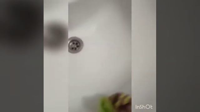 Обзор салфеток от гринвей: инволвер, сплитер и твист скрабер смотреть онлайн