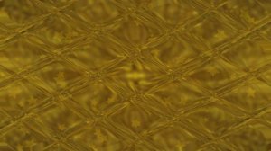 Футаж. Золотой фон 115