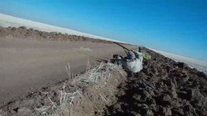 Охота на гуся Казахстан 22.10.21 - 23.10.21