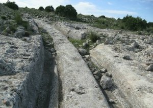 Кто ездил по планете Земля 12 миллионов лет назад