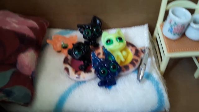 Придумали имена своим новым питомцам!🐱🐱🐱💕❤️🐕🐈🐺 смотреть онлайн