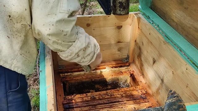 Строительная рамка! смотреть онлайн