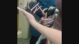 Приколы 2023 Смешные видео #46 сентябрь