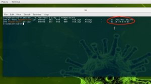 How To Monitor Hard Disks Temperature With HDDTemp Command In Linux