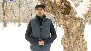 Мобильные платежи