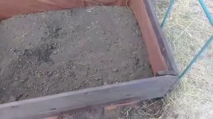 ОБУСТРОЙСТВО ДАЧИ / ВЫСОКАЯ КЛУМБА (ГРЯДКА) своими руками/ Garden / How to build planter /DIY Yuli