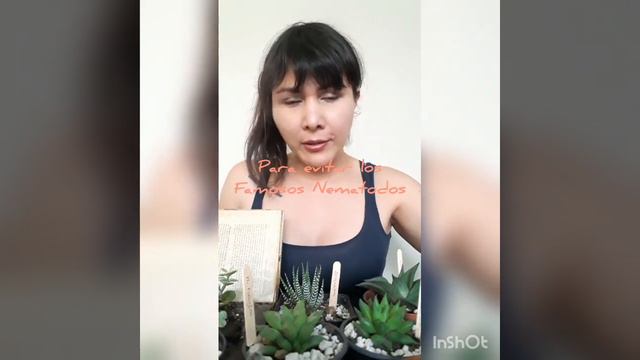 Suculentas de interior y de poca iluminación смотреть онлайн