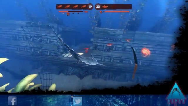 Лисья акула на Galleon