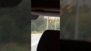 Поездка Лукино к Старцу Петру 07.09.2019 г 5.34