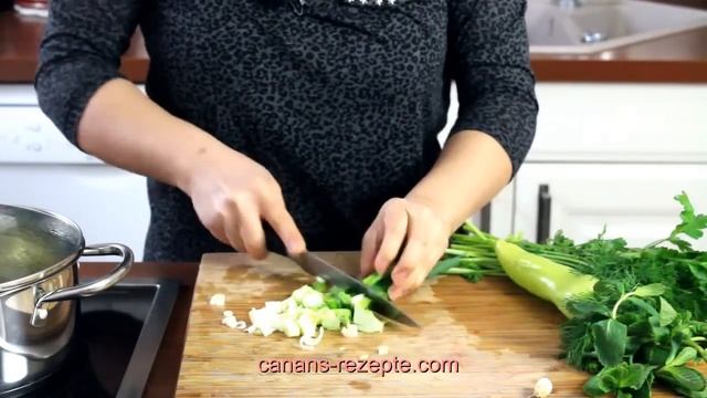 GRÜNER HIRSESALAT mit frischen Kräutern - vegan und glutenfrei Canans Rezepte смотреть онлайн