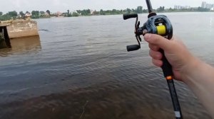 Daiwa Zillion 1016 обзор