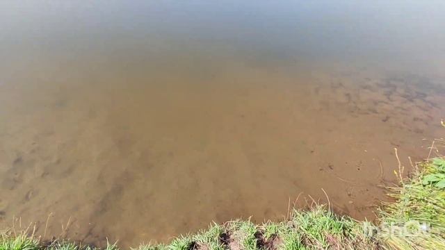 В поисках где лучше искупаться!? Жара?Новочебоксарск пристань - река Волга, или пруд в Вороново!?? смотреть онлайн