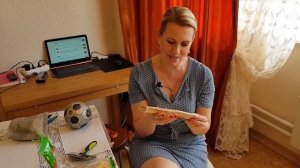 Чем порадовать щенка?  Уход, кормление, игрушки. Акита ину.