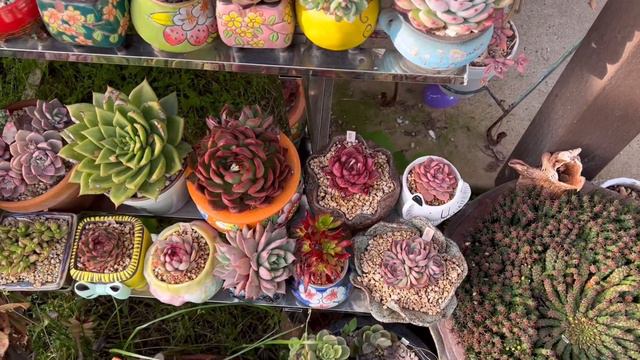 Spring 2022 Garden Update смотреть онлайн