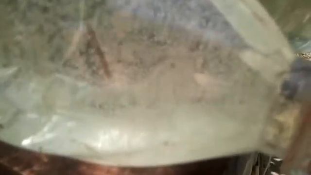 Изготовление капельного полива с датчиком давления.Финальная версия. смотреть онлайн