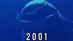 Evolution of the Bloop 1997-2022