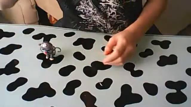 Видео с веб-камеры. Дата: 2 февраля 2013 г., 14:30. смотреть онлайн