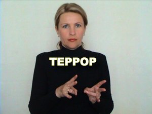 ЖЕСТОВЫЙ ЯЗЫК. СЛОВАРЬ. Террор
