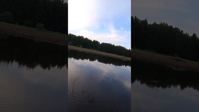 Насадил МАЛЬКА ОКУНЯ на крючок и в МОМЕНТЕ поймал ОГРОМНУЮ ЩУКУ. #рыбалка #рыбалканапоплавок #щука смотреть онлайн