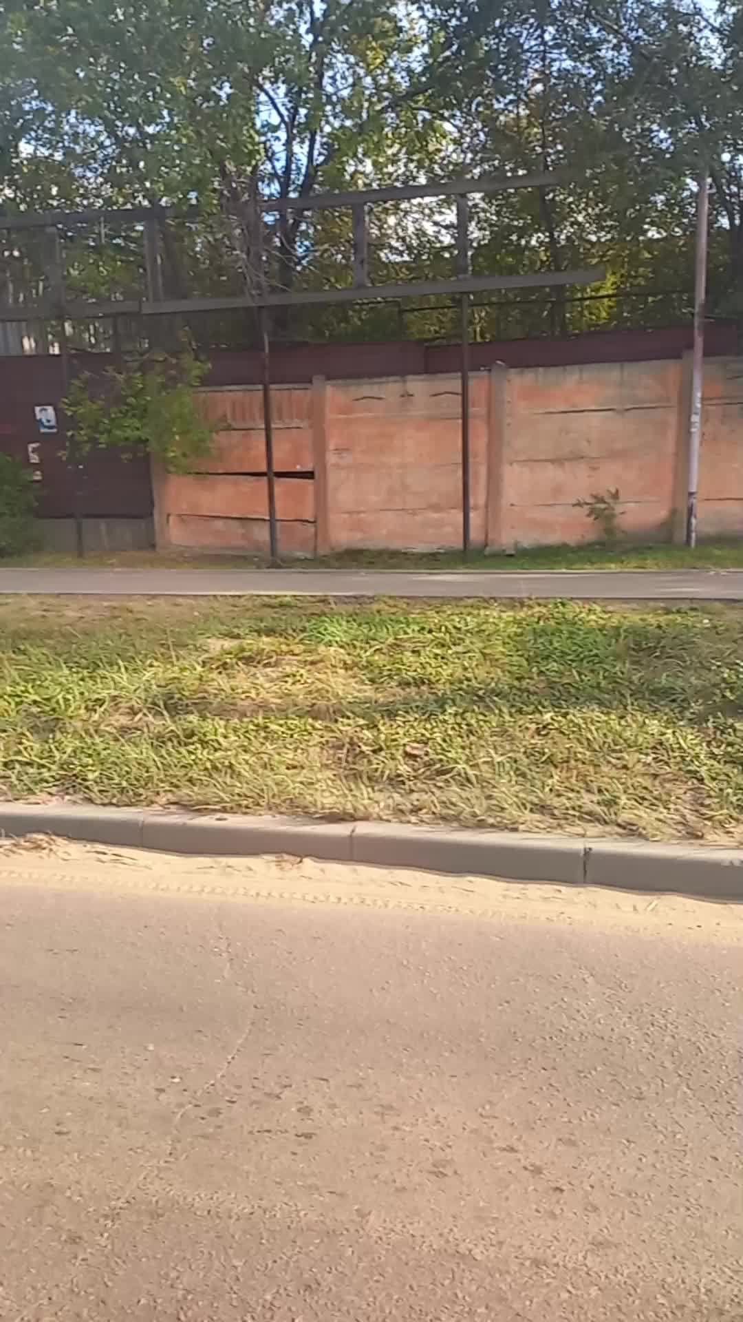хахахахах