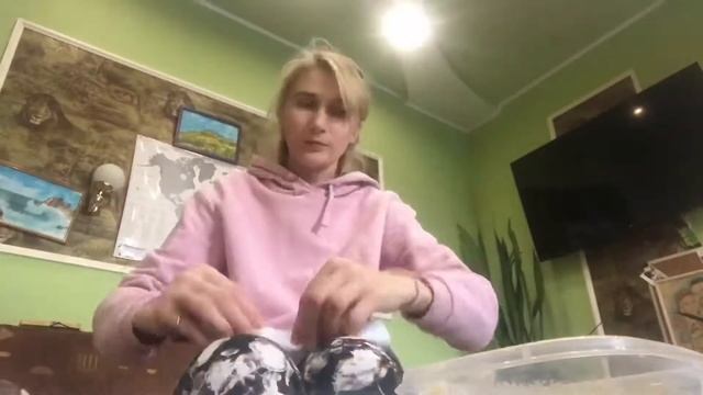 Маска из папье-маше кролика/зайца из фильма Дони дарко делаем своими руками