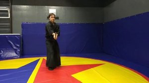 Дзё ката 31. Евгений Виноградов, 4-й Дан Айкидо.mp4