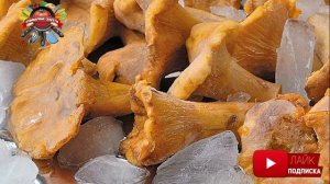 Как приготовить картошку с лисичками на сковороде, чтобы не были горькими и резиновыми!