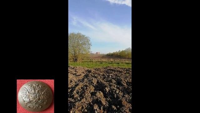 поле.