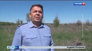 Брошенный сад .Матвеево-Курганский район Ростовской области