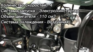 Мопед Regulmoto Alpha (RM-2) 110см за 69000 - Часть1