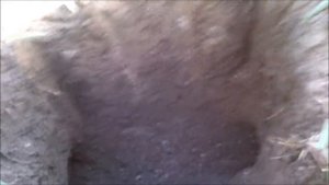 как на рыбацкий крючок поймать крота