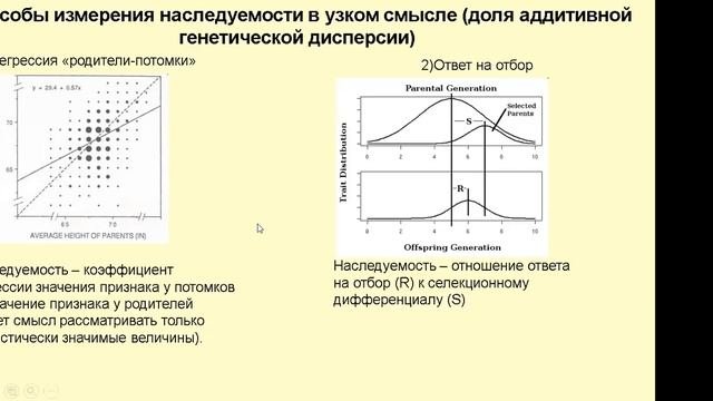 Эмбриология и эволюция. Скобеева В.А. (серия 19ч) 3