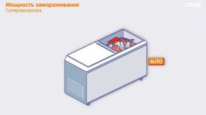 Как выбрать МОРОЗИЛЬНУЮ КАМЕРУ