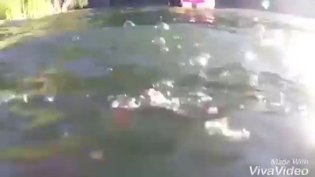 Смешной момент с видео запретная зона - EeOneGay смотреть онлайн