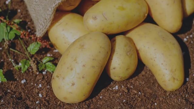 Укрепляем ресницы Дома смотреть онлайн