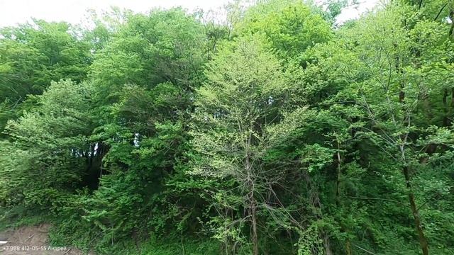 Мацеста | Инвестиции 100% годовых | АК Измайловские дачи