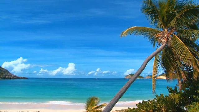 The Most Beautiful Beach 👍🌷❤ #trending #beautiful #beach #beachlife #beachvibes #viral #viralvideo